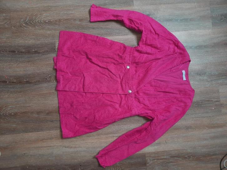 roze ribstof blazer jurk maat 44, Kleding | Dames, Jurken, Zo goed als nieuw, Maat 42/44 (L), Roze, Boven de knie, Ophalen of Verzenden