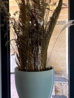 2 grote glazen potten met droogbloemstuk, Ophalen, Zo goed als nieuw