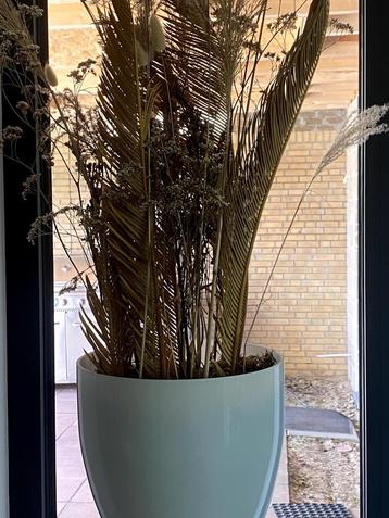 2 grote glazen potten met droogbloemstuk beschikbaar voor biedingen