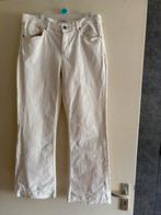 Sissy-Boy mooie ecru flared jeans mt 42 ZGAN, Sissy-Boy, Ophalen of Verzenden, Zo goed als nieuw, W33 - W36 (confectie 42/44)