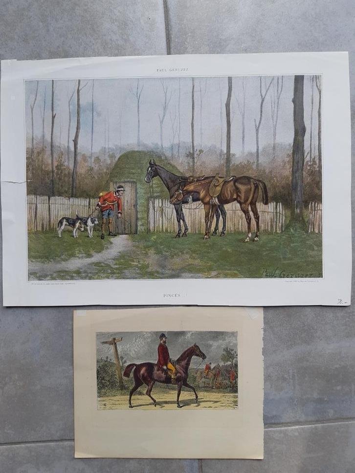 13 / 2 gekleurde gravures uit 19e eeuw Paarden en de jacht, Antiek en Kunst, Kunst | Etsen en Gravures, Ophalen of Verzenden