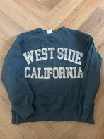 Trui, Kleding | Dames, Truien en Vesten, Zara, Ophalen of Verzenden, Nieuw, Overige kleuren