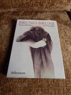 Bruno Bruni - Neue arbeten 1977 tot 1982 •, Ophalen of Verzenden, Zo goed als nieuw, Bruno Bruni, Schilder- en Tekenkunst