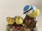 Koolmees met jongen porselein., Meerdere dieren, Papegaai