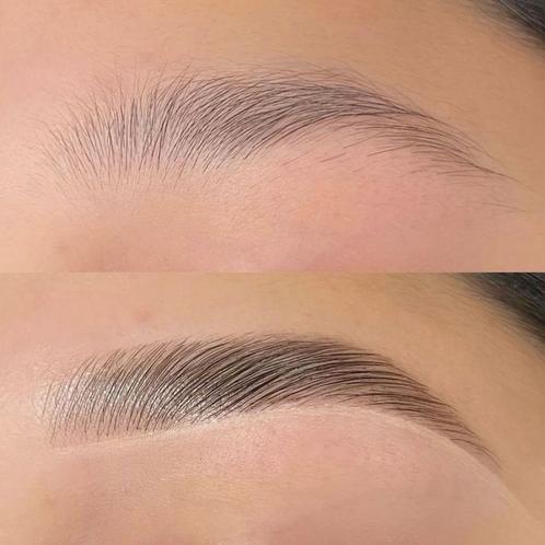 Modellen Henna Brows, Sieraden, Tassen en Uiterlijk, Uiterlijk | Gezichtsverzorging, Nieuw, Verzorging, Ogen, Ophalen of Verzenden