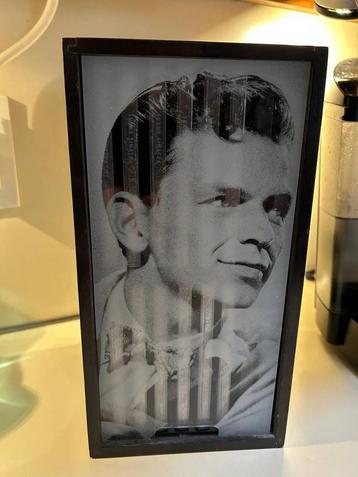 Frank Sinatra the Columbia Years 12 cd houten box beschikbaar voor biedingen