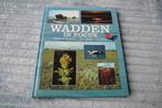 Wadden in focus, Ophalen of Verzenden, Gelezen