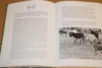 Zorgen voor een ezel — Handboek voor de praktijk, Boeken, Dieren en Huisdieren, Ophalen of Verzenden, Gelezen