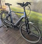 Pegasus Strong Evo 10 Electrische fiets | 625Wh | Garantie, Overige merken, Ophalen of Verzenden, Zo goed als nieuw, 59 cm of meer