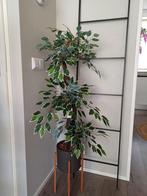 Kunstplant/Boom 90cm - Realistisch & Veelzijdig!, Huis en Inrichting, Kamerplanten, Ophalen of Verzenden, Halfschaduw, Minder dan 100 cm