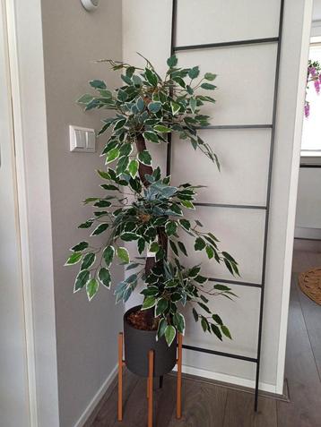 Kunstplant/Boom 90cm - Realistisch & Veelzijdig! beschikbaar voor biedingen