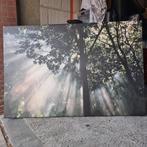Zon door de bomen op canvas 150 x 100 x 4,5, Ophalen, Gebruikt, 125 cm of meer, Schilderij