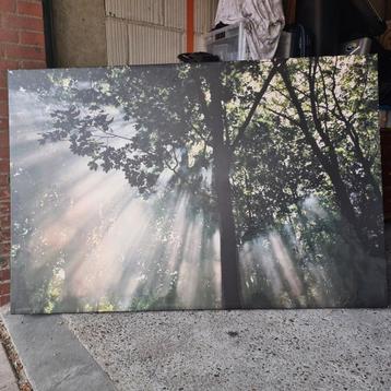 Zon door de bomen op canvas 150 x 100 x 4,5 beschikbaar voor biedingen