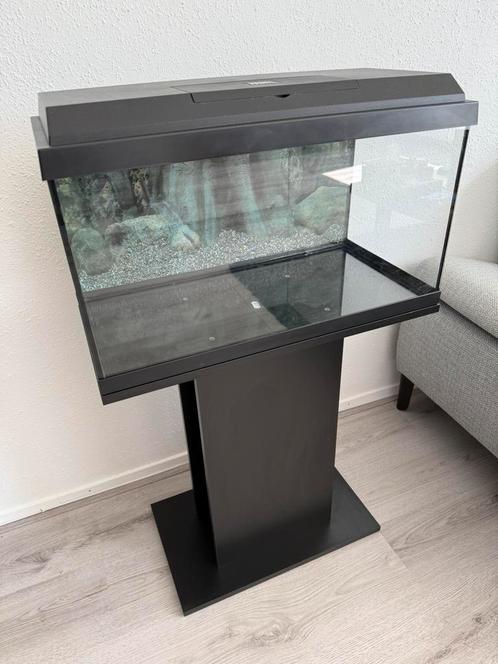 Juwel Aquarium Primo 60L 61x31x37 cm - inc voet + accessoire, Dieren en Toebehoren, Vissen | Aquaria en Toebehoren, Gebruikt, Leeg aquarium