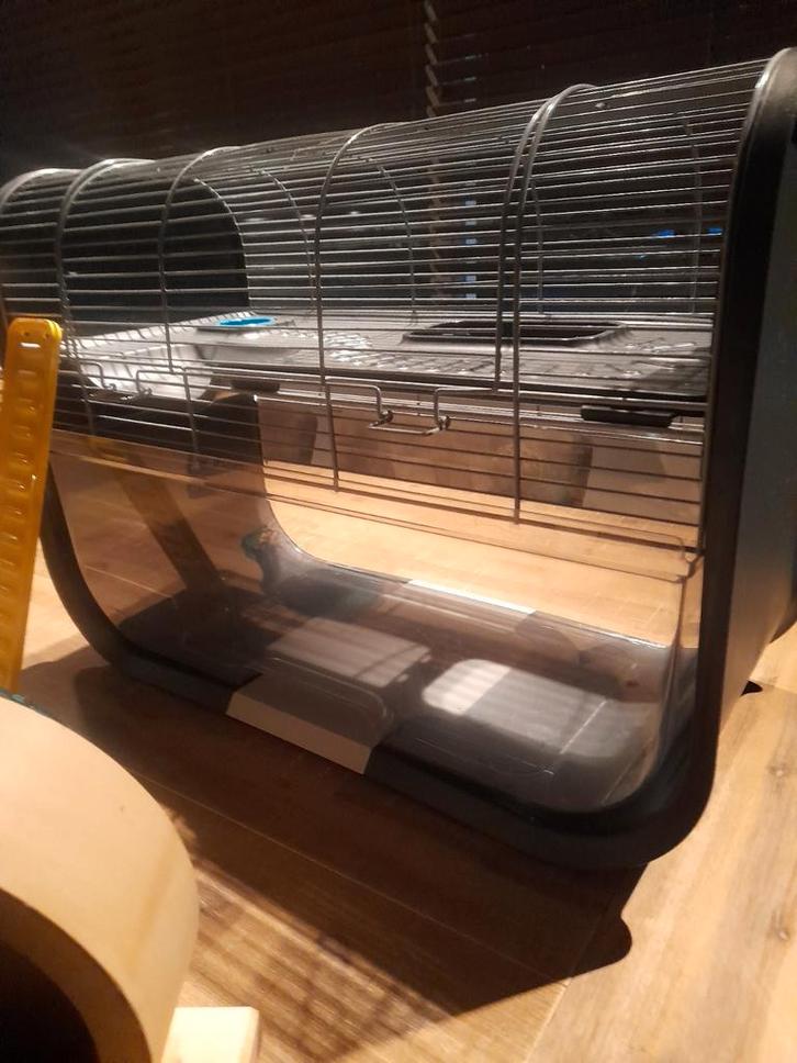 Hamsterkooi met accessoires, Dieren en Toebehoren, Knaagdieren en Konijnen | Hokken en Kooien, Zo goed als nieuw, Kooi, Minder dan 60 cm