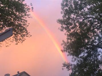 Haarmodel gezocht in Arnhem beschikbaar voor biedingen
