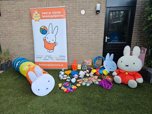 Nijntje gym artikelen, Sport en Fitness, Overige Sport en Fitness, Zo goed als nieuw, Ophalen