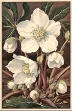 VHK, Jan Voerman, kerstroos, 1935, Verzamelen, Ansichtkaarten | Themakaarten, Verzenden, 1920 tot 1940, Ongelopen, Overige thema's