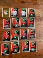 NEC Voetbalplaatjes - Diverse spelers, Ophalen of Verzenden, Zo goed als nieuw, Overige binnenlandse clubs, Poster, Plaatje of Sticker