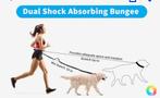 Hond jogging buikband met lijn, Ophalen of Verzenden, Zo goed als nieuw