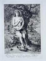 Naar P.P. Rubens "I pied I Pouce", Antiek en Kunst, Kunst | Etsen en Gravures, Ophalen of Verzenden