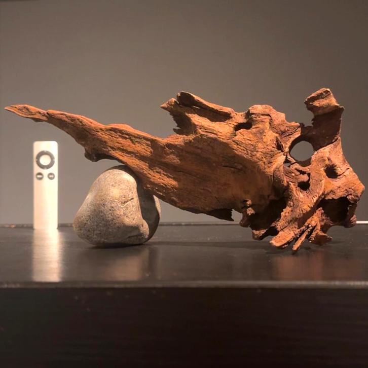 Uniek stuk Kienhout / Driftwood / Spiderwood, Hout Decoratie, Dieren en Toebehoren, Vissen | Aquaria en Toebehoren, Zo goed als nieuw