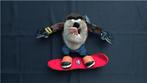 Tasmanian Devil Snowboard Looney Tunes knuffel, Ophalen of Verzenden, Looney Tunes, Nieuw, Beeldje of Figuurtje