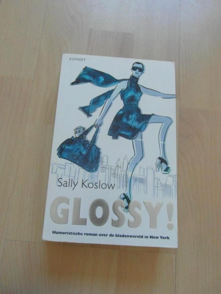 Glossy! - Sally Koslow, Boeken, Chicklit, Gelezen, Ophalen of Verzenden