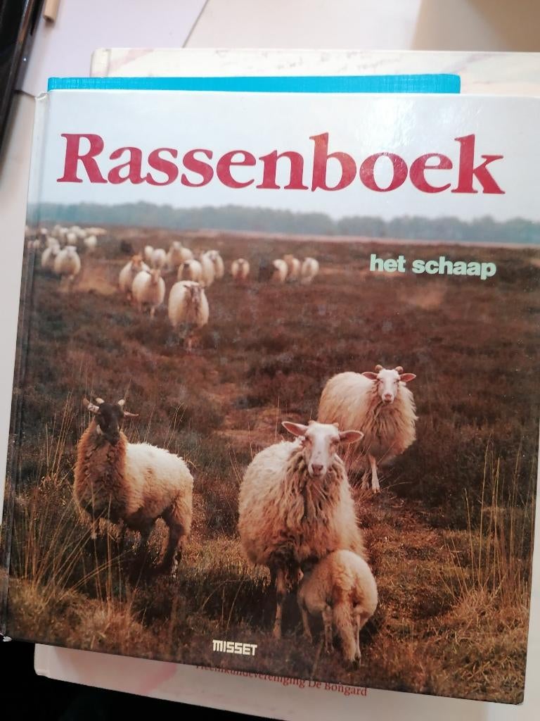 Rients Koopmans Rassenboek Het schaap MISSET ECHT COMPLEET, Boeken, Ophalen of Verzenden, Zo goed als nieuw, Rients Koopmans Rassenboek Het schaap MISSET PLANK AGRARISCH