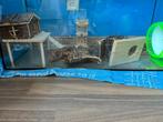 Hamster terrarium, Ophalen, Gebruikt, Overige typen