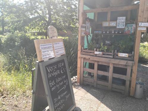 Kraam met allerlei (kruiden), fruit plant, jam, ei,, Tuin en Terras, Planten | Tuinplanten, Eenjarig, Groenteplanten, Volle zon