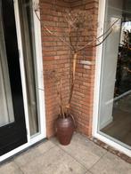 Mooie bloempot kruik met bereklauw, Tuin en Terras, Ophalen, Steen, Gebruikt, Minder dan 30 cm