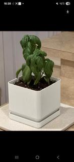 Ik maak unieke vazen klein tot groot max 1meter op 1meter, Ophalen, Rond, Minder dan 30 cm