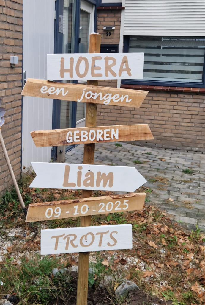 Geboorte wegwijzer / Geboorte Aankondiging, Ophalen of Verzenden, Zo goed als nieuw, Geboortebord