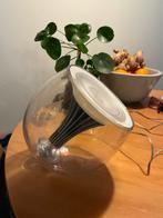 Philips LivingColors, Ophalen of Verzenden, Gebruikt, Minder dan 50 cm