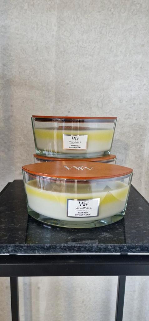 ️ WoodWick Ellipse Warm Wool – 5 stuks – €22, Huis en Inrichting, Woonaccessoires | Kandelaars en Kaarsen, Nieuw, Kaars, Minder dan 25 cm