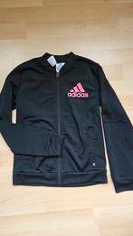 Adidas trainingspak maat 140, Ophalen of Verzenden, Zo goed als nieuw, Adidas, Meisje