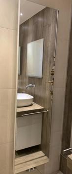 design spiegelradiator, Ophalen, Overige typen, Nieuw, 50 tot 100 cm