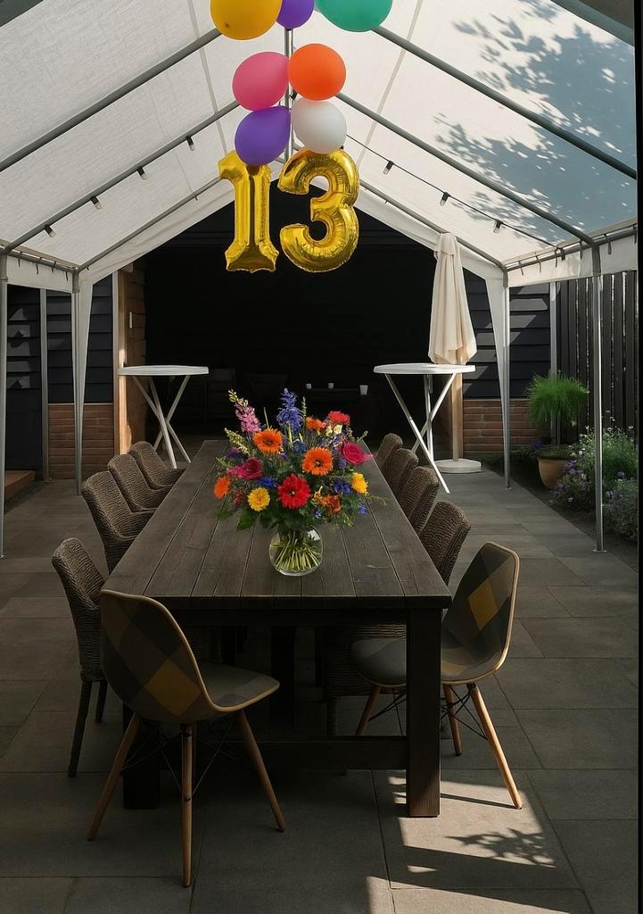 Partytent 8 x 4 te huur, Hobby en Vrije tijd, Feestartikelen | Verhuur, Zo goed als nieuw, Overige, Ophalen