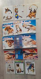 MINISTECK: Hond en kat, paarden, vogels, sorteerbakjes etc., Hobby en Vrije tijd, Ministeck, Ophalen of Verzenden, Zo goed als nieuw