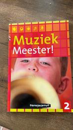 R. van der Lei - 2 muziek meester!, Ophalen of Verzenden, Zo goed als nieuw, R. van der Lei; F. Haverkort; L. Noordam, Nederlands