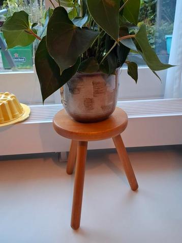 Houten driepoot planten krukje  beschikbaar voor biedingen