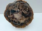 Schijf versteend hout no 7, Ophalen, Mineraal