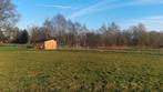 Weide met schuilstal, Weidegang, 2 of 3 paarden of pony's