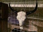 Skull groot wit gegraveerd NIEUW (vele soorten op voorraad), Ophalen of Verzenden, Nieuw