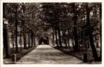 Beetsterzwaag - Kettinglaan (1956), Verzamelen, Ansichtkaarten | Nederland, Verzenden, 1940 tot 1960, Gelopen, Friesland