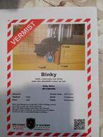 Vermissing Binky, Kat