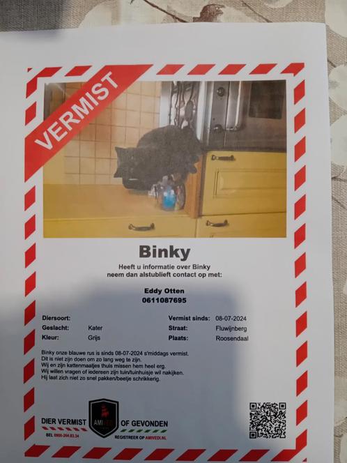 Vermissing Binky, Dieren en Toebehoren, Vermiste en Gevonden Dieren, Kat