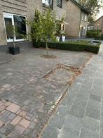 35m2 Straatwerk - Gratis Afhalen!, Ophalen, Gebruikt, Klinkers, 10 m² of meer