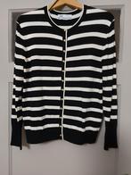 Nieuw dames vest van zara, Ophalen of Verzenden, Nieuw, Maat 46/48 (XL) of groter, Zwart